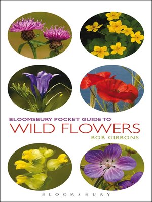 cover image of Pocket Guide to Wild Flowers